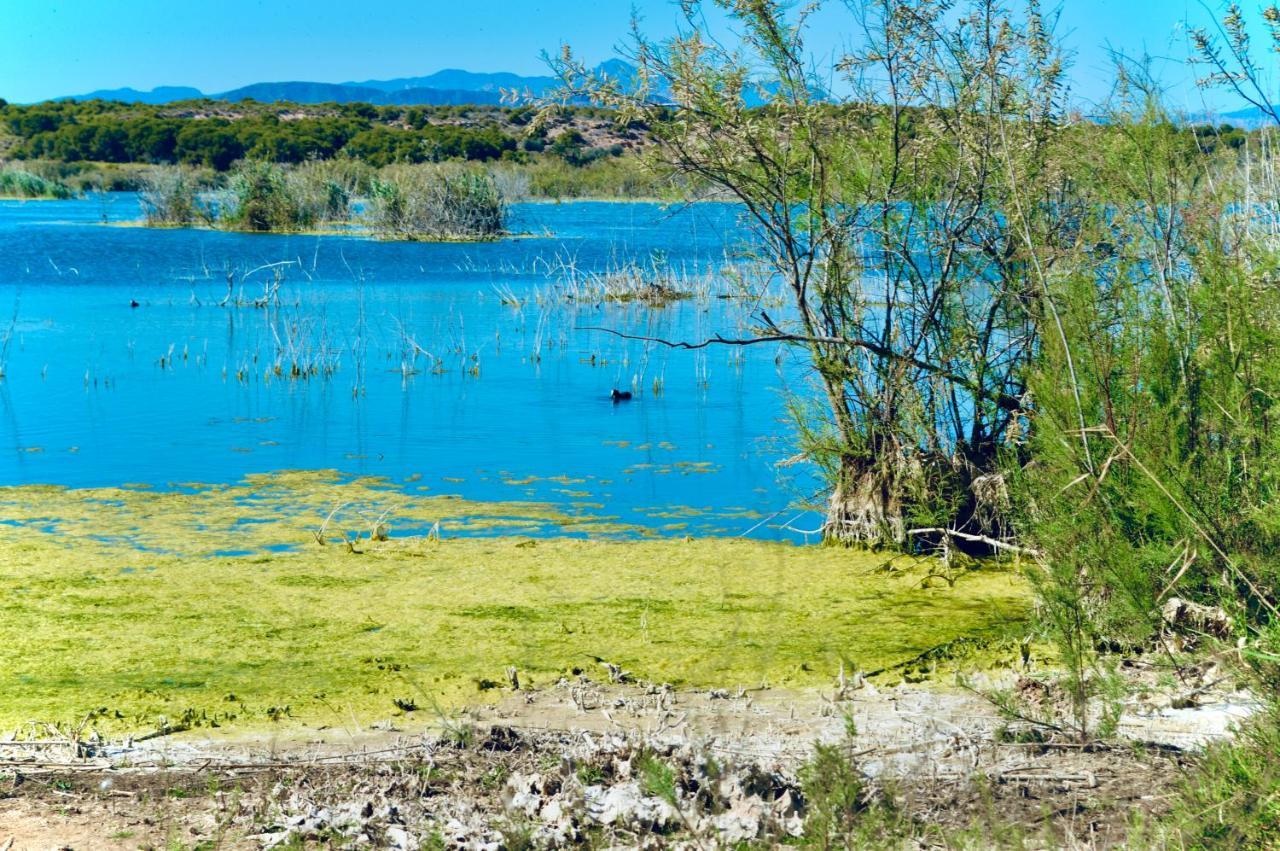 Refugio De Tranquilidad En Gran Alacant Exteriér fotografie